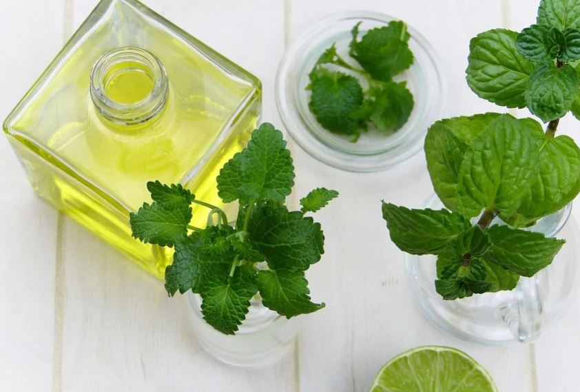 Essential Oils To Protect Your Respiratory System: Peppermint